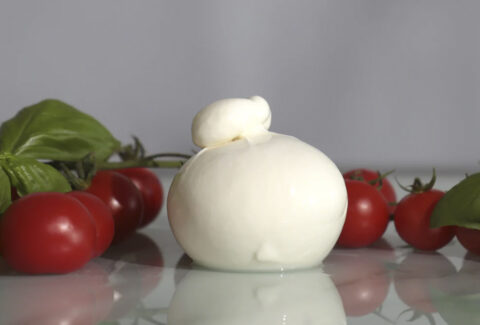 Burrata